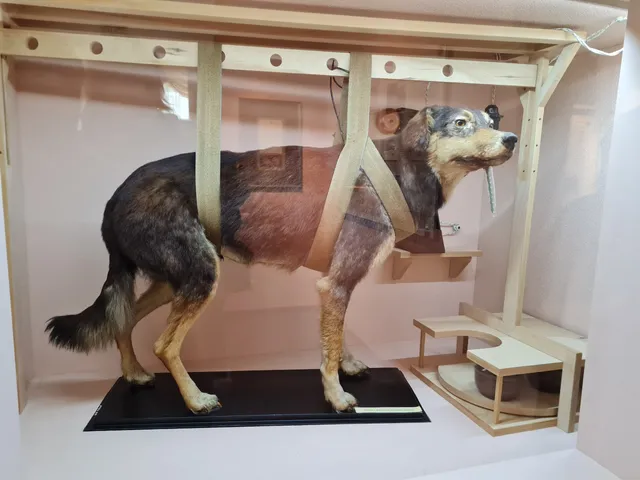 Memorial'nyy Muzey-Usad'ba Akademika I.p. Pavlova