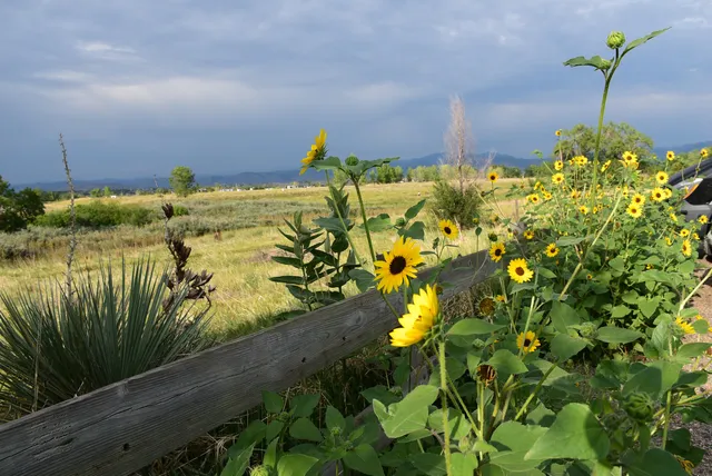 Westminster Hills Open Space & Greenway Trail