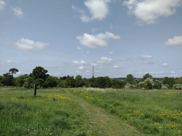 Hayle Park Nature Reserve