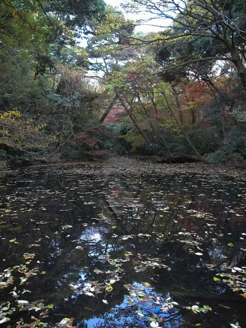 Institute for Nature Study