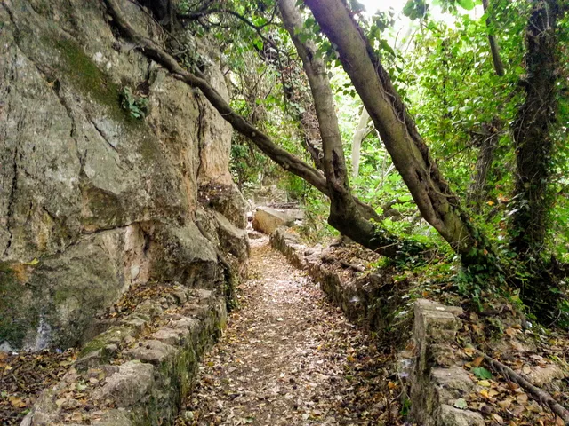 Nacimiento de Riofrío