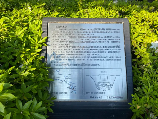 Site of Mita Irrigation Water