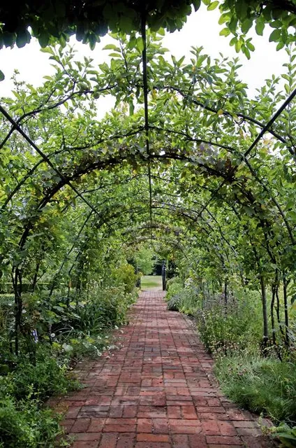 National Trust - The Courts Garden