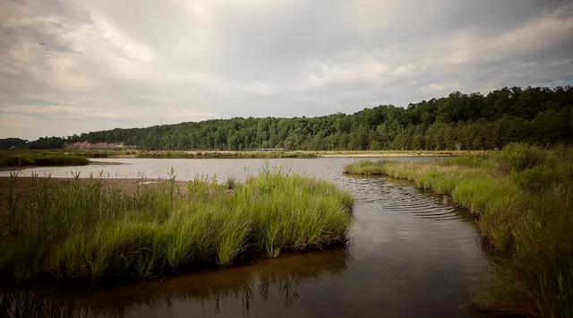 Flag Ponds Nature Park