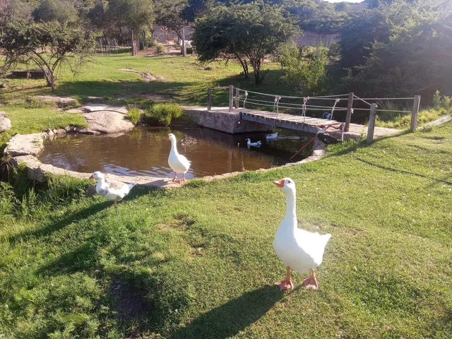Tanti Granja Jazmin De Luna