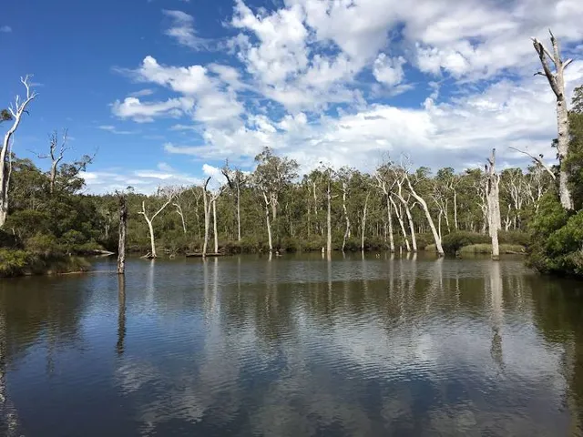 Wooditjup National Park