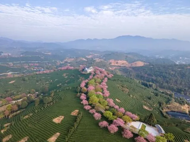 Galatrona TORRE, BUCINE, AR