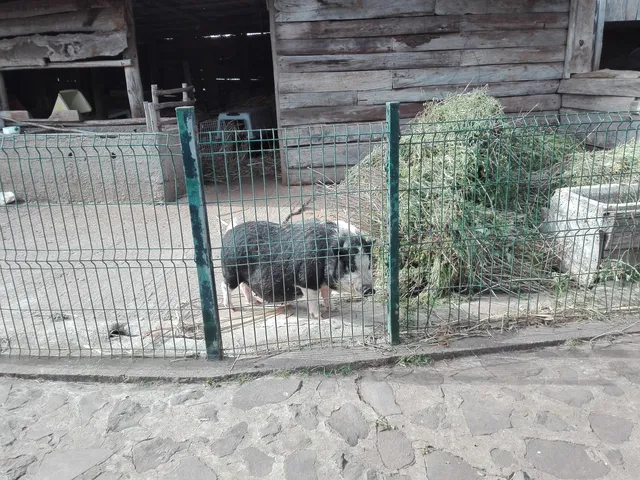 Galeria dos Prazeres