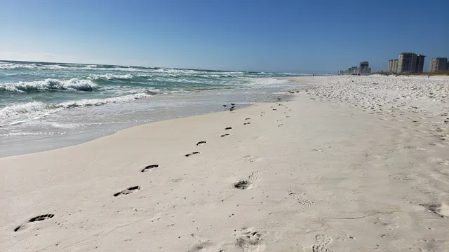 Friends of Emerald Coast State Parks