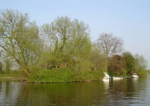 Thames Ditton Island