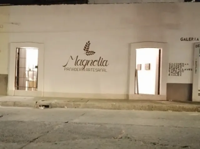 Magnolia Panadería Artesanal