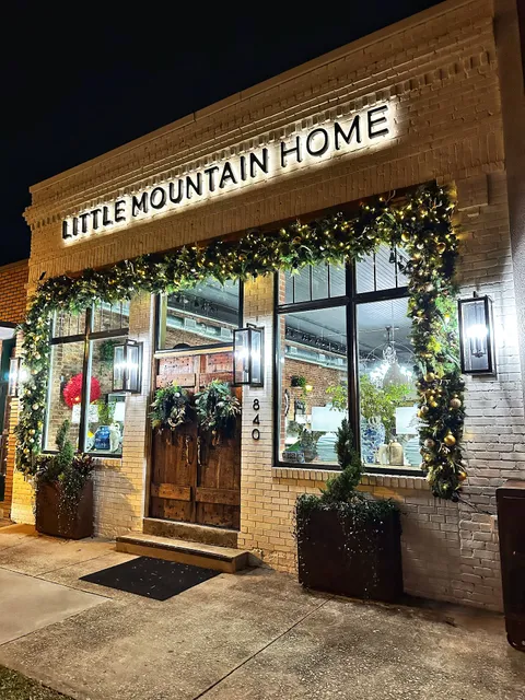 Little Mountain Home