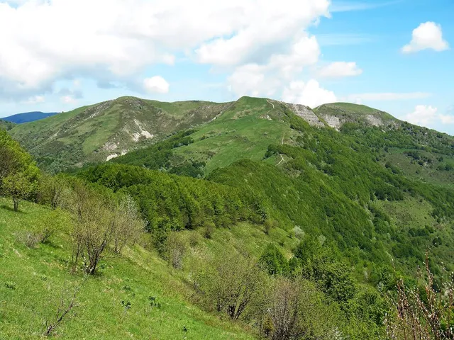 Monte Cavalmurone