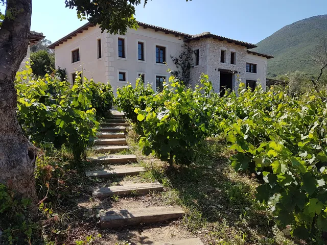 Lefkaditiki Gi Winery