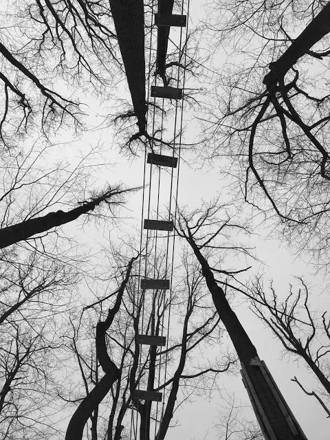 Go Ape Zipline and Adventure Park