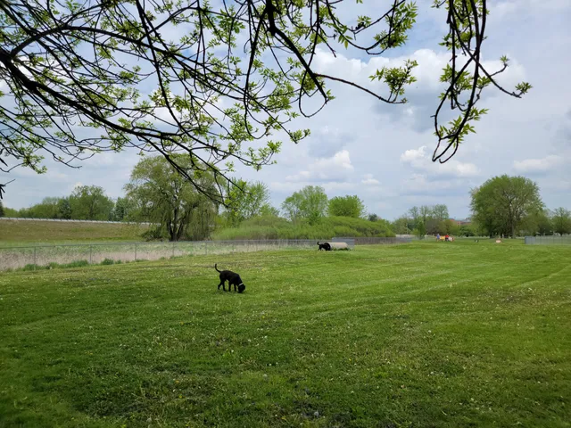 Midland Dog Park