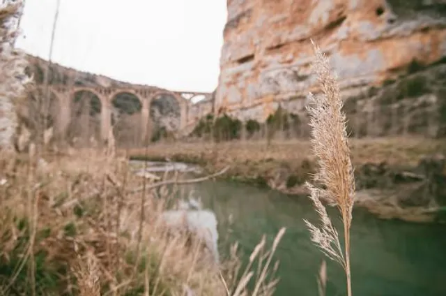Hoces del Río Riaza Natural Reserve
