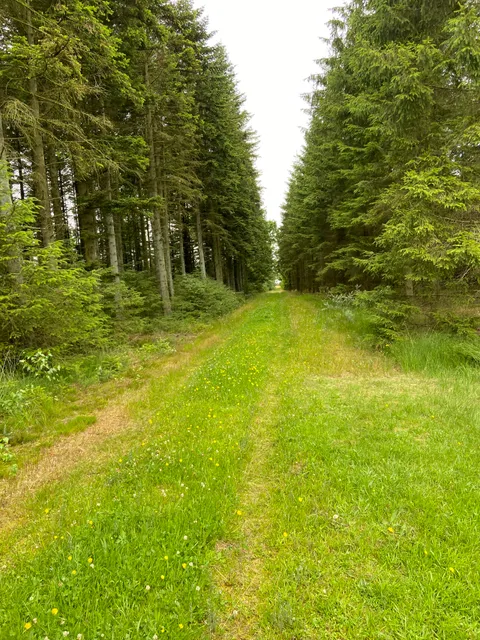 place image