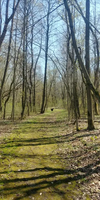 Fox Hill Nature Preserve - Nordic Trails