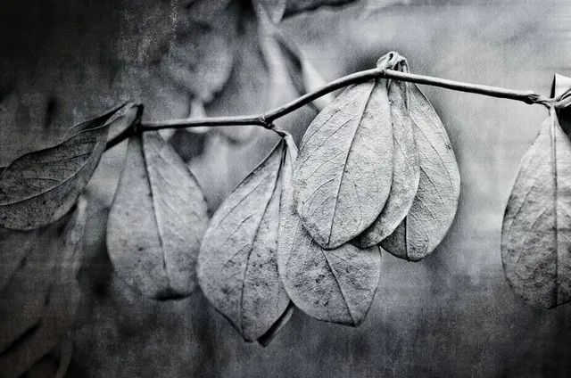 Hangaram Arts Center Museum