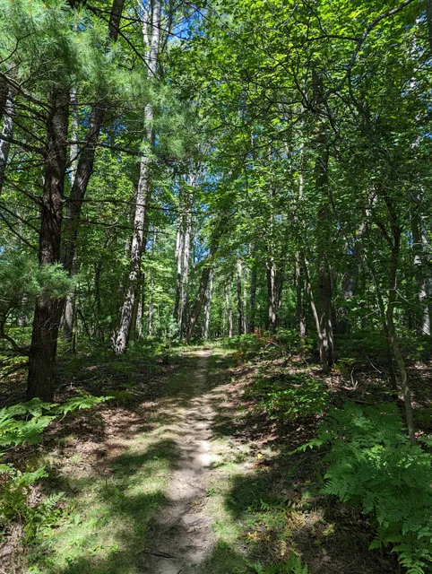 Pentwater Pathways Trailhead