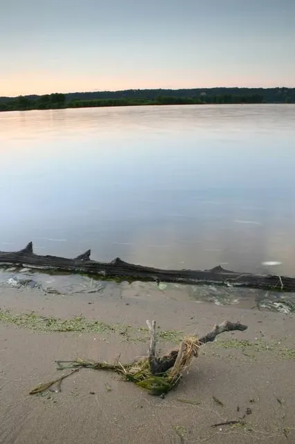 Finley's Landing Park