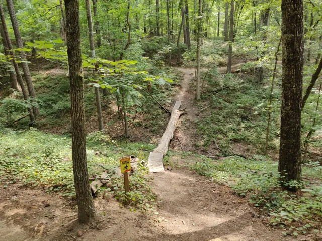 Blankets Creek Mountain Bike Trails