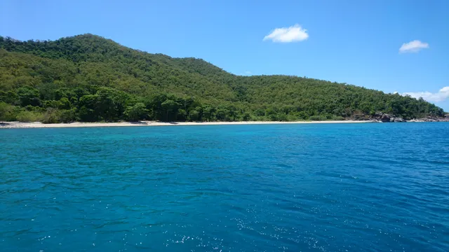 Orpheus Island