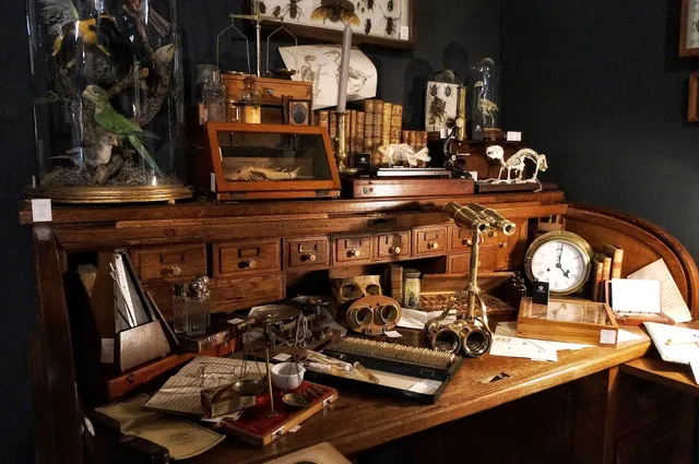 Viriathus Antigüedades & Interiorismo