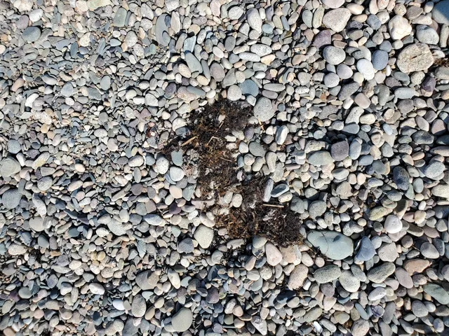 photo-1