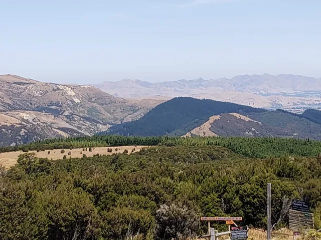 Mt Lyford Adventure Park