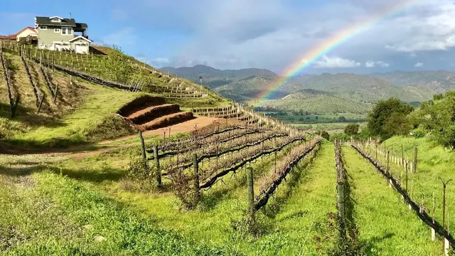 Highland Valley Vineyards