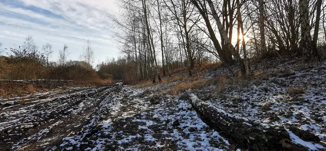 Terrils du marais de Fouquières