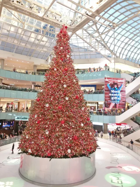 Galleria Ice Skating Center