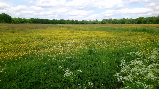 Wandelroute Anlooerdiep