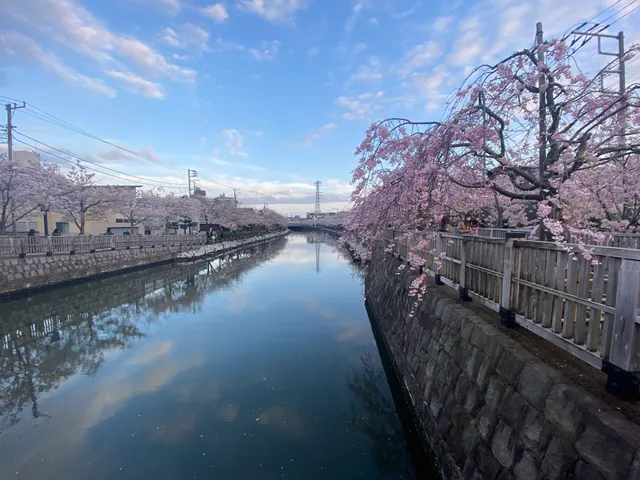 Shinkawa Senbonzakura