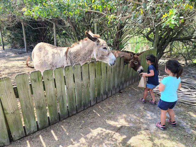Romelia Farms Wildlife Preserve & Petting Zoo