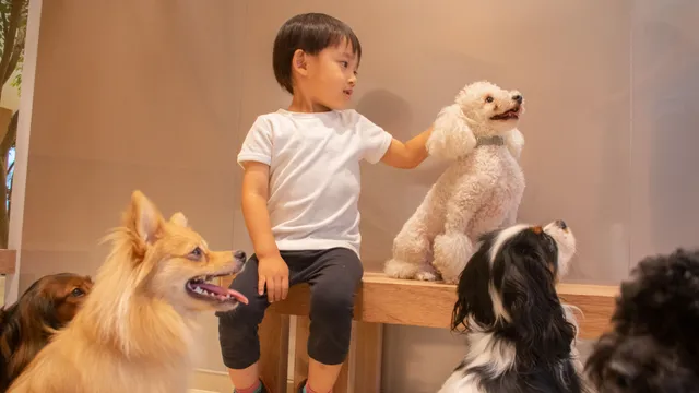 Moff animal cafe Rarapototachikawatachihiten