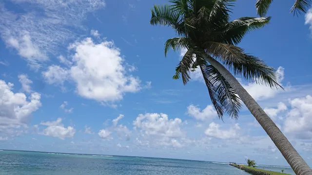 Palau Beach Bungalows