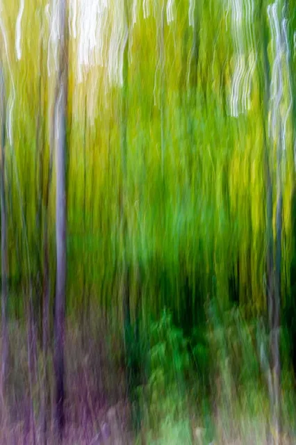 Hildene, The Lincoln Family Home- Welcome Center