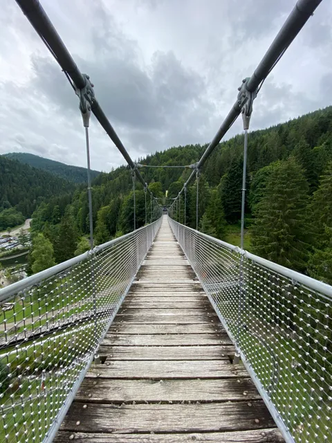 Hängebrücke im Steinwasenpark