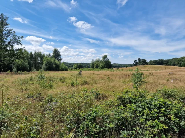 Häckeberga naturvårdsområde