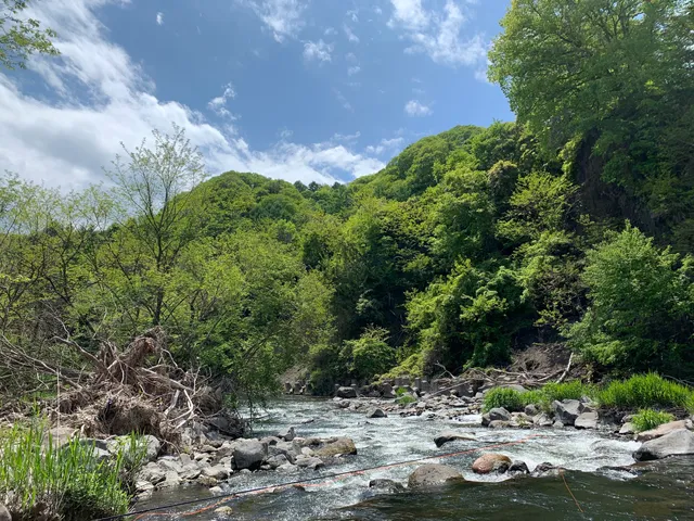 Saku fishery cooperative Yu-river trout park Karuizawa.