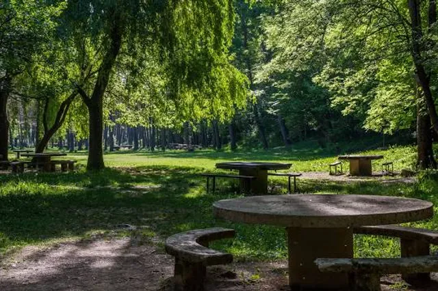 Área recreativa de La Font del Querol