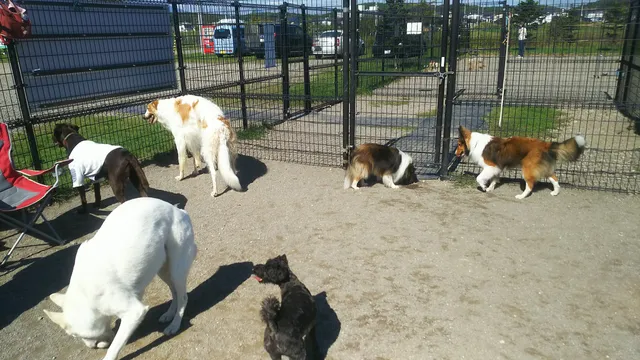 Hokkocho Mirainomori Park