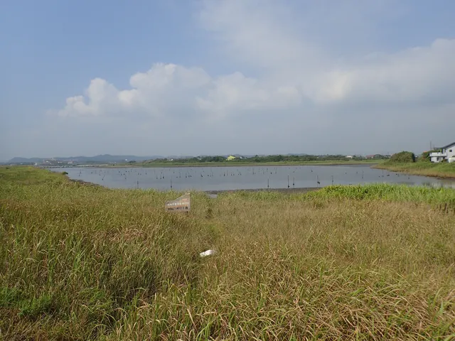 Isumi River Estuary Tidal Flat