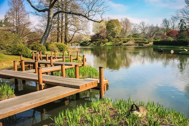 Mizumoto Japanese Stroll Garden