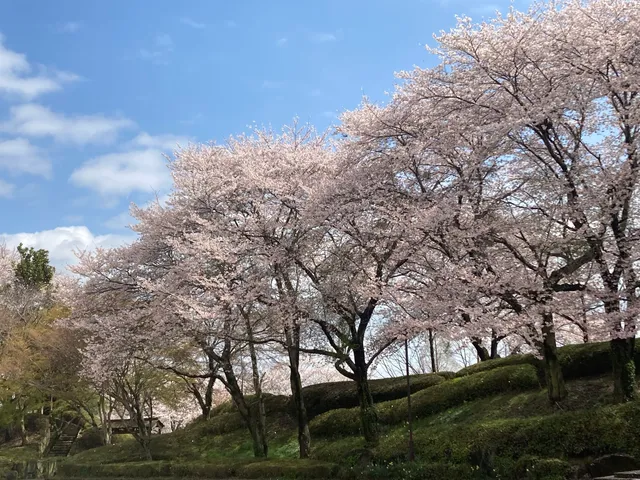 Kaminokawajoshi Park