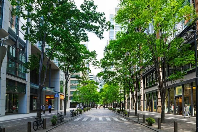 Marunouchi Naka-Dori Ave
