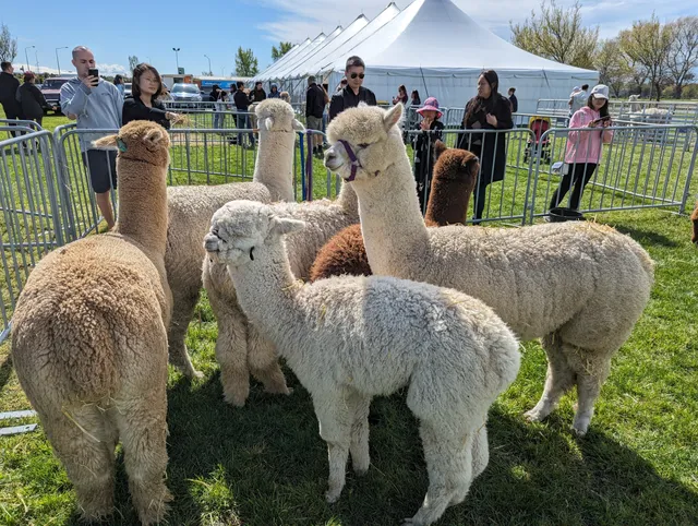 Canterbury Agricultural Park